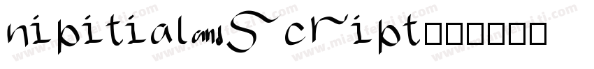 nipitial script字体转换